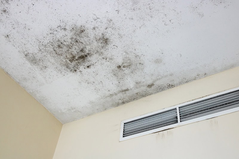 Ceiling mold.